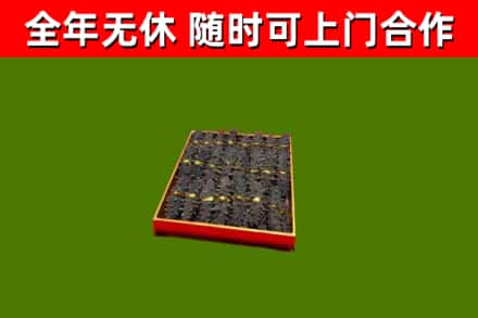 麦盖提县回收海参